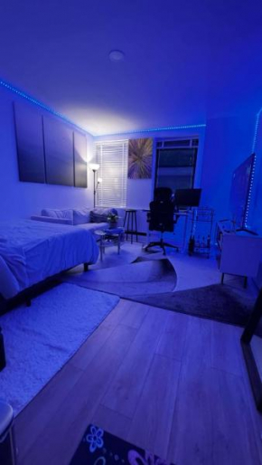 SPACIOUS MASTER BEDROOM IN A 3BEDROOM APARTMENT next to Empire State Building with Great Street View - Available for 2months Subletting